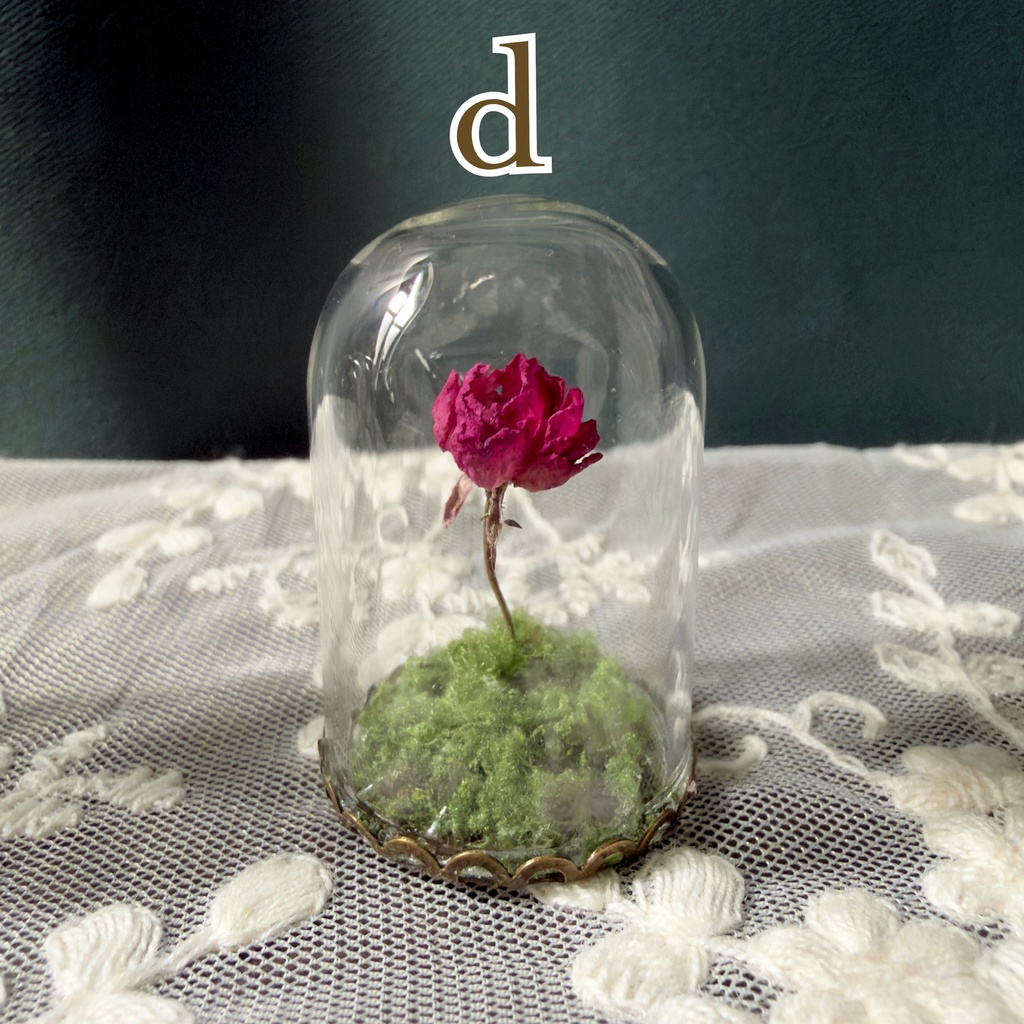 【即納】王子さまのバラ(ミニガラスドームオブジェ)