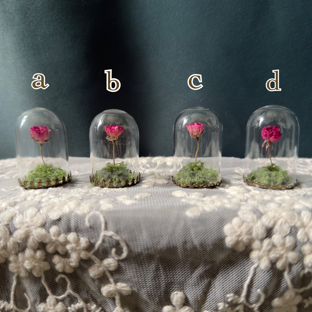 【即納】王子さまのバラ(ミニガラスドームオブジェ)