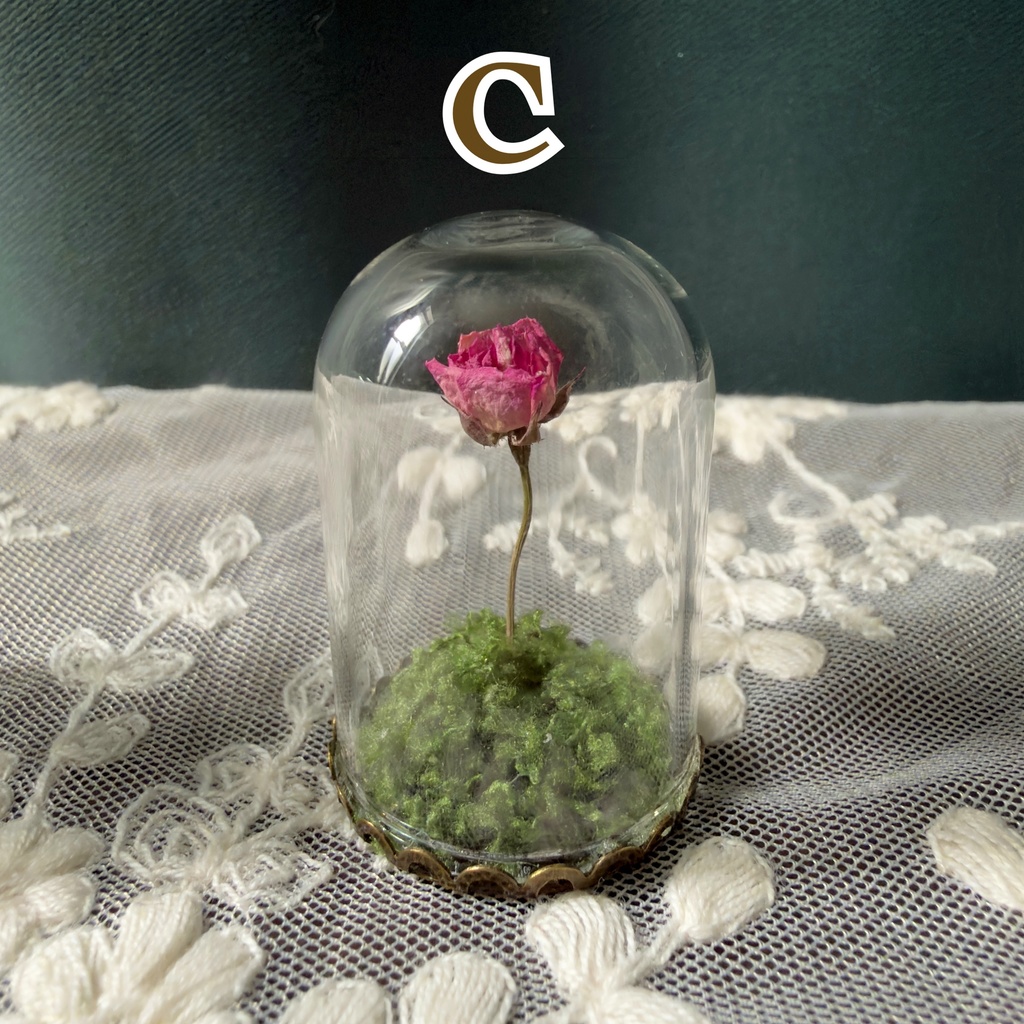 【即納】王子さまのバラ(ミニガラスドームオブジェ)