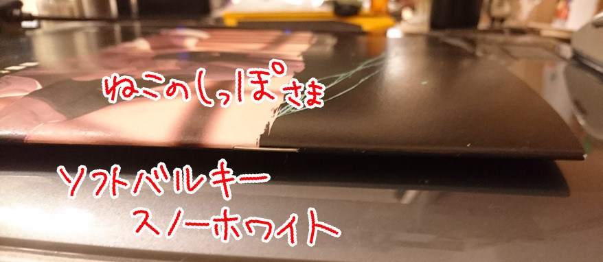 【完売】××国サーバー■■本丸サンプル2冊セット