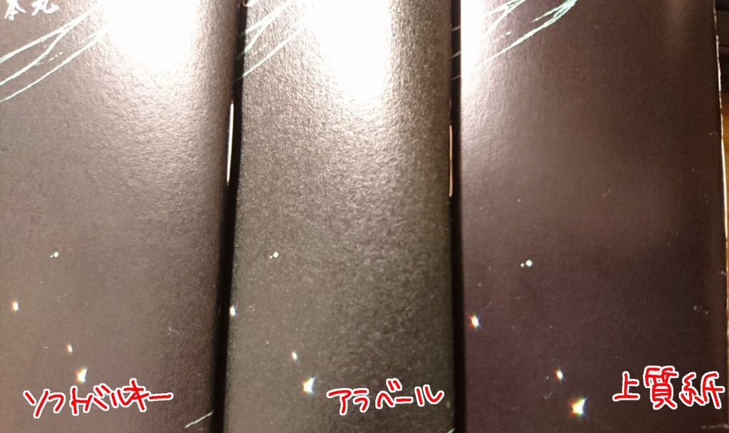 【完売】××国サーバー■■本丸サンプル2冊セット