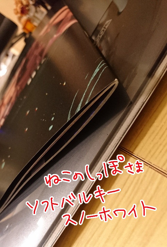 【完売】××国サーバー■■本丸サンプル2冊セット