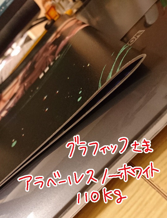 【完売】××国サーバー■■本丸サンプル2冊セット