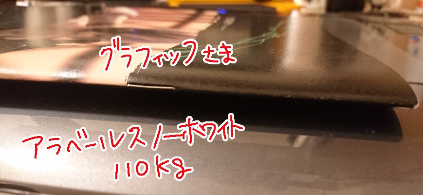 【完売】××国サーバー■■本丸サンプル2冊セット