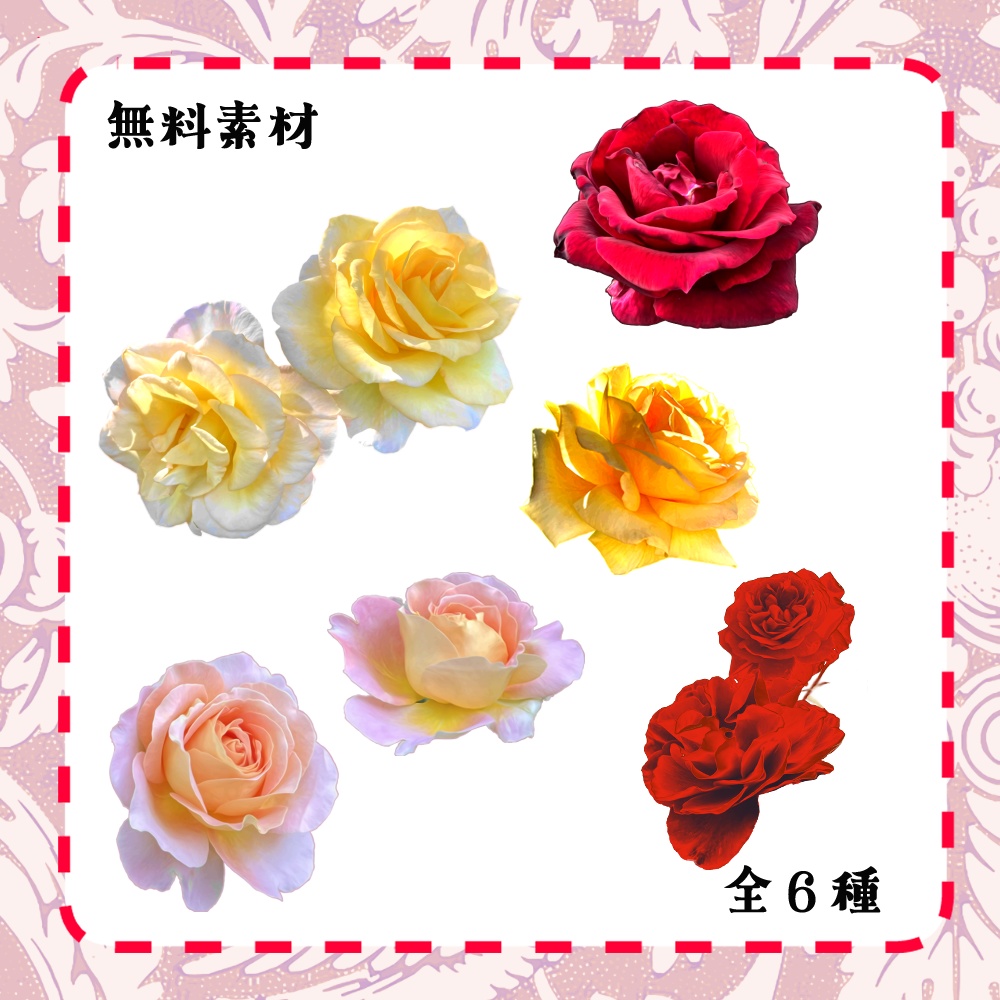 【無料・有料】薔薇写真加工素材