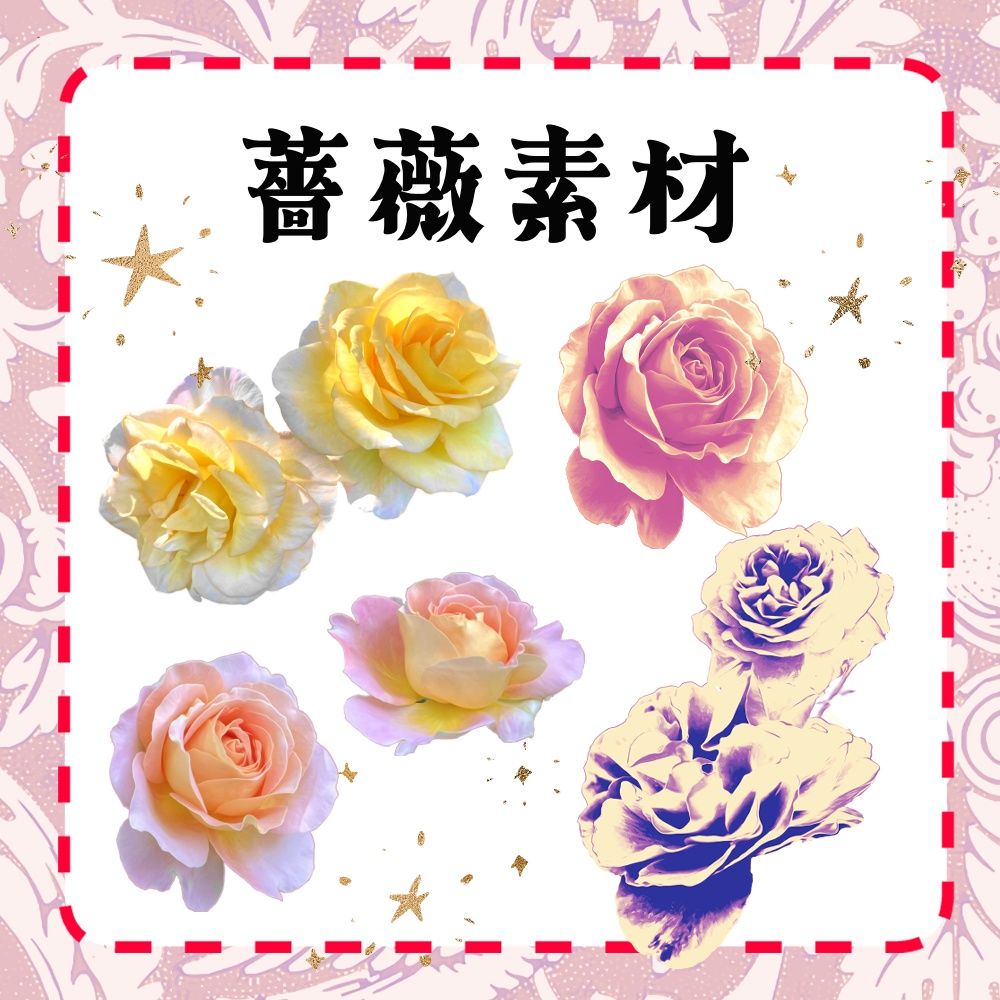 【無料・有料】薔薇写真加工素材