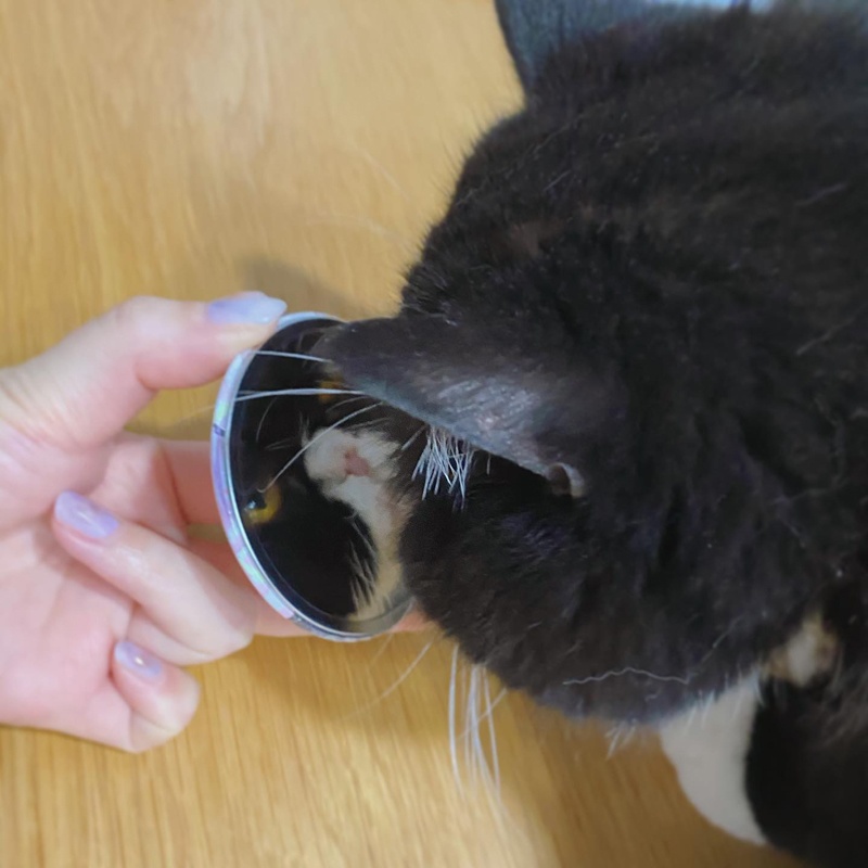 みだ猫缶ミラー