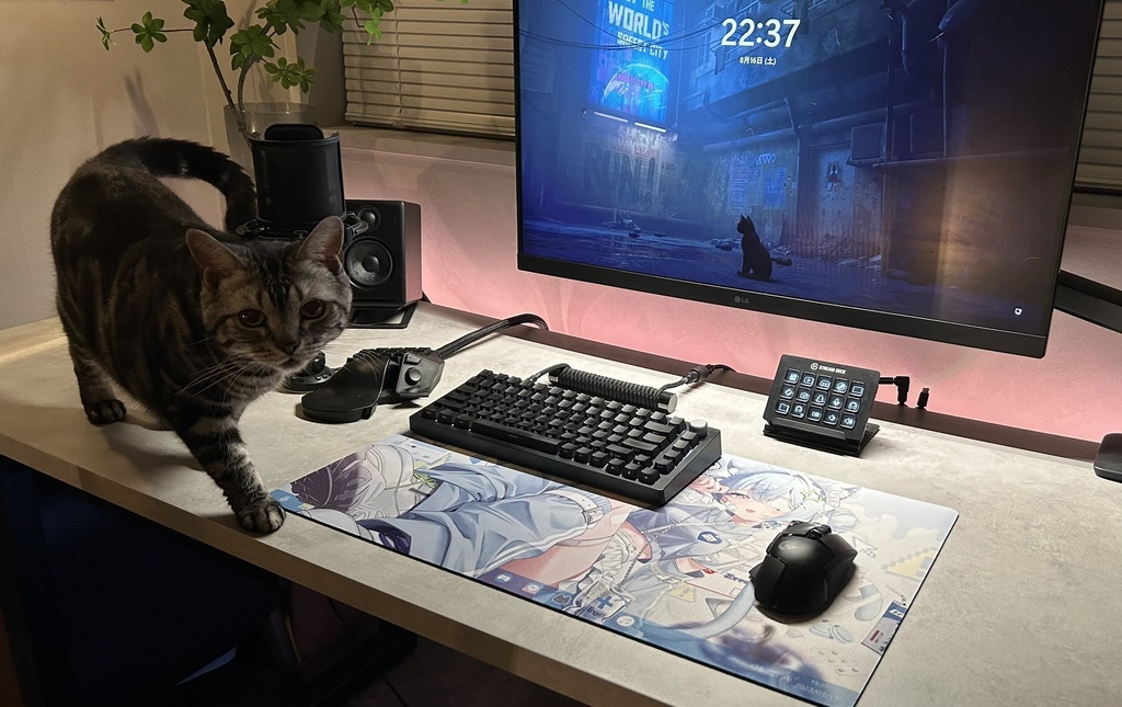 【受注予約】PC画面風 みあちゃんプレイマット【9月1日締切】