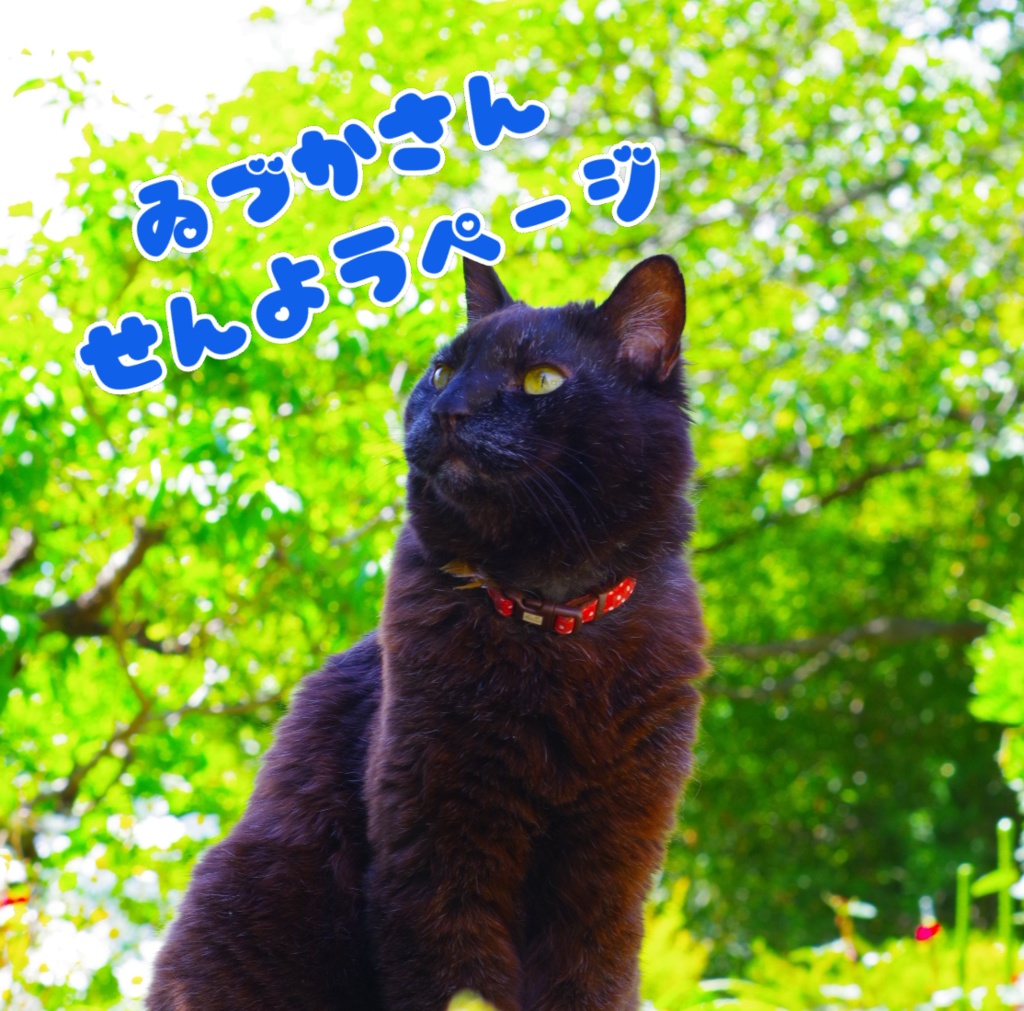 ゐづかさん専用