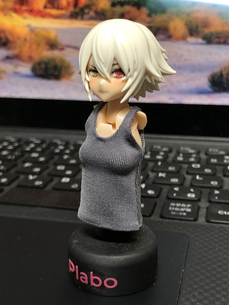 布服用胸部『健』