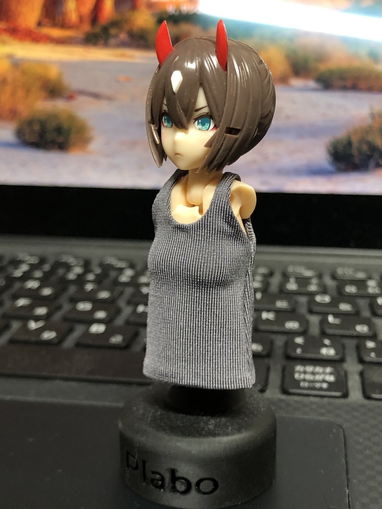 布服用胸部『豊』