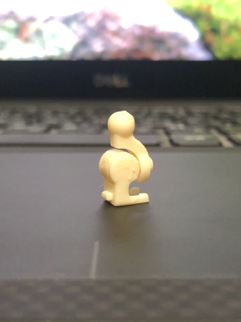 熟成ハラミ