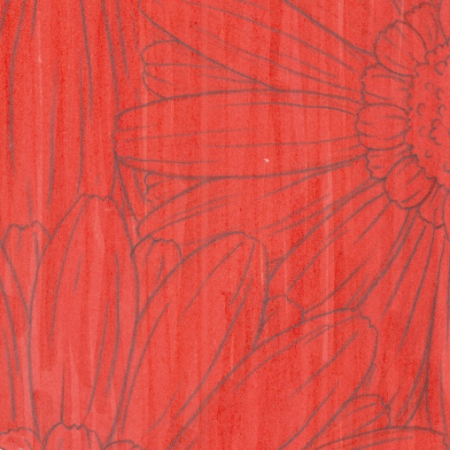 (アナログ原画) ハナゾノ ー ガーベラ ー