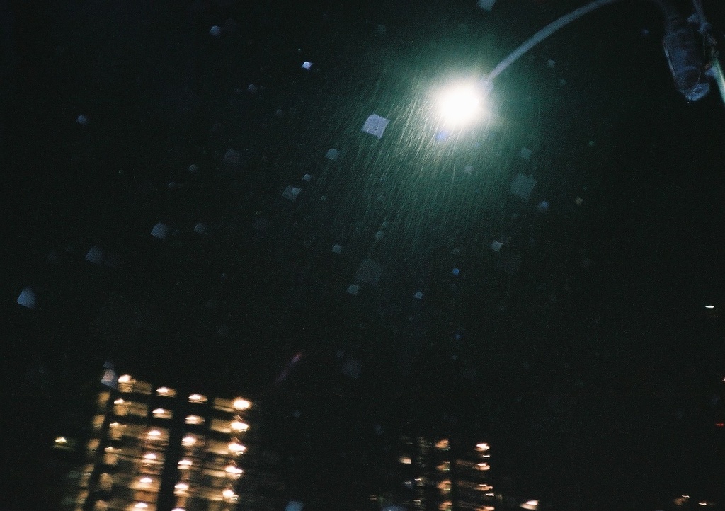 忘れた傘で雨をしのいで