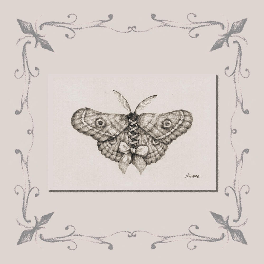 「標本：一人目」ポストカード