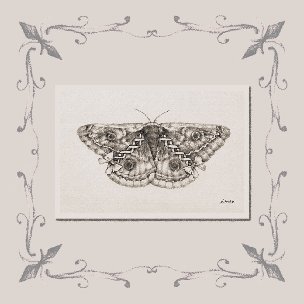 「標本：三人目」ポストカード