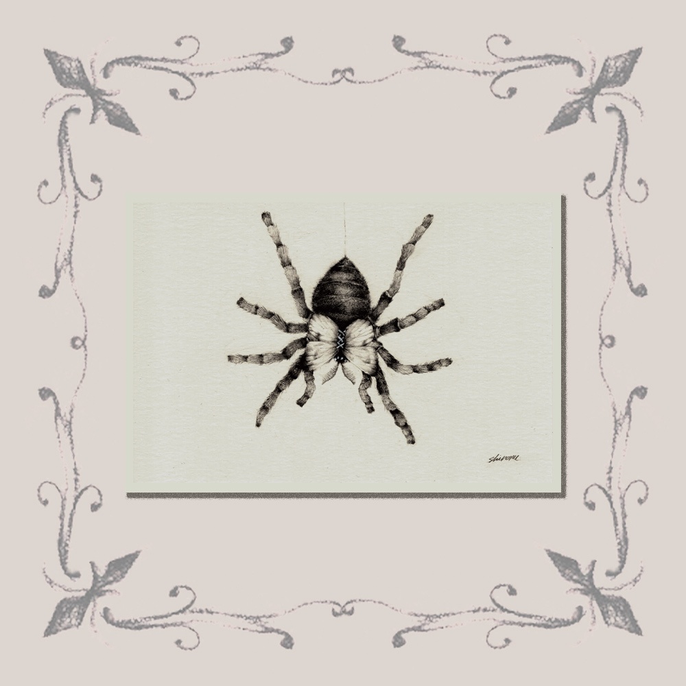 「標本：九人目」ポストカード