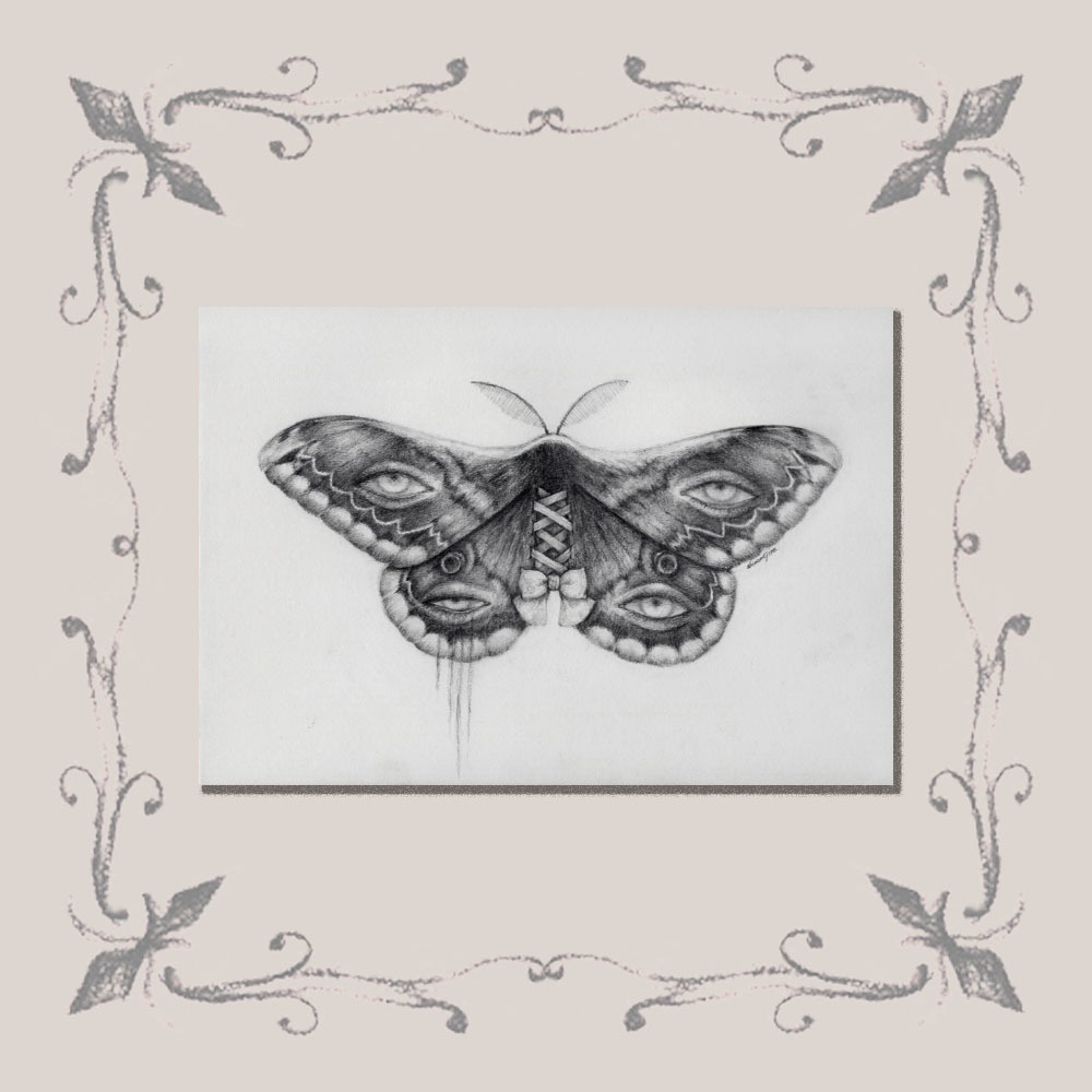 「標本:十四人目、不眠」ポストカード