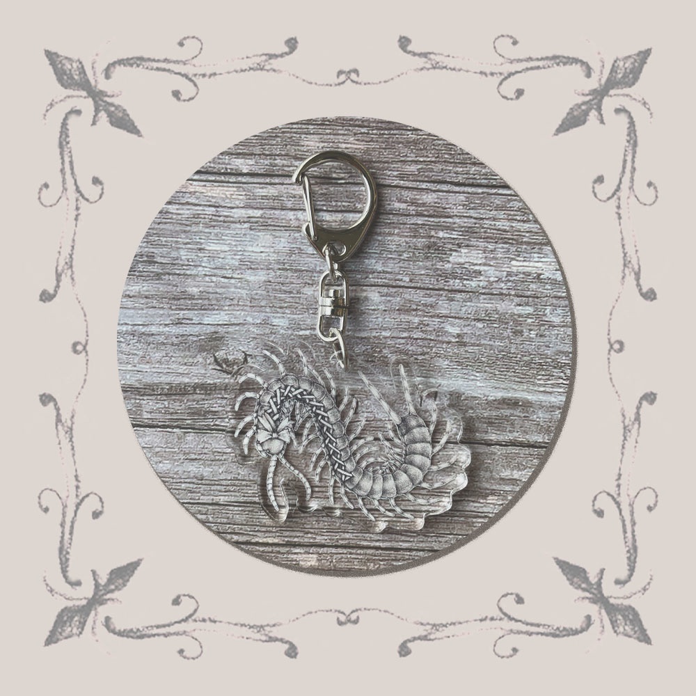 specimenⅤ acrylic keychain（標本：五人目アクリルキーホルダー）