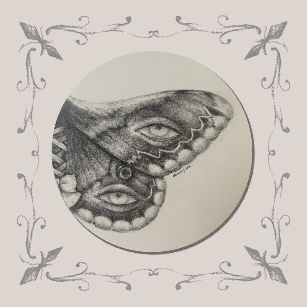 「標本:十四人目、不眠」原画