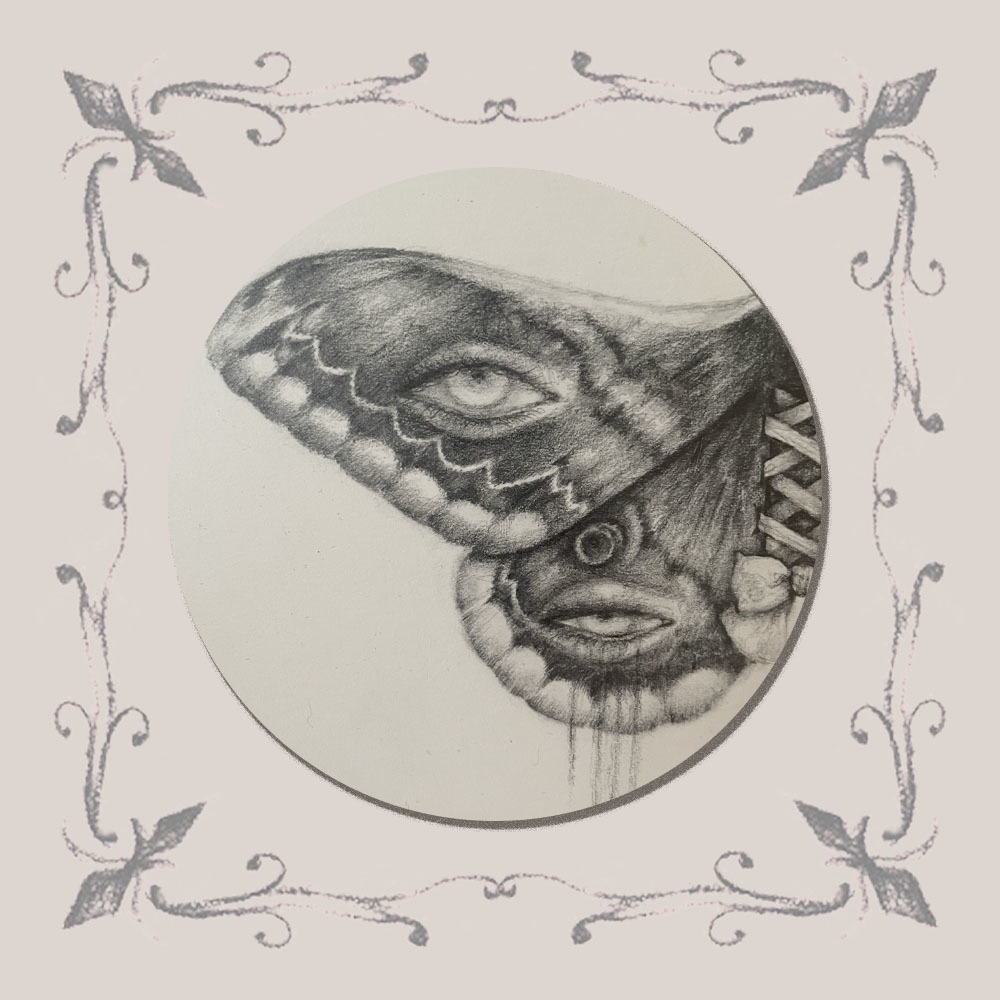 「標本:十四人目、不眠」原画