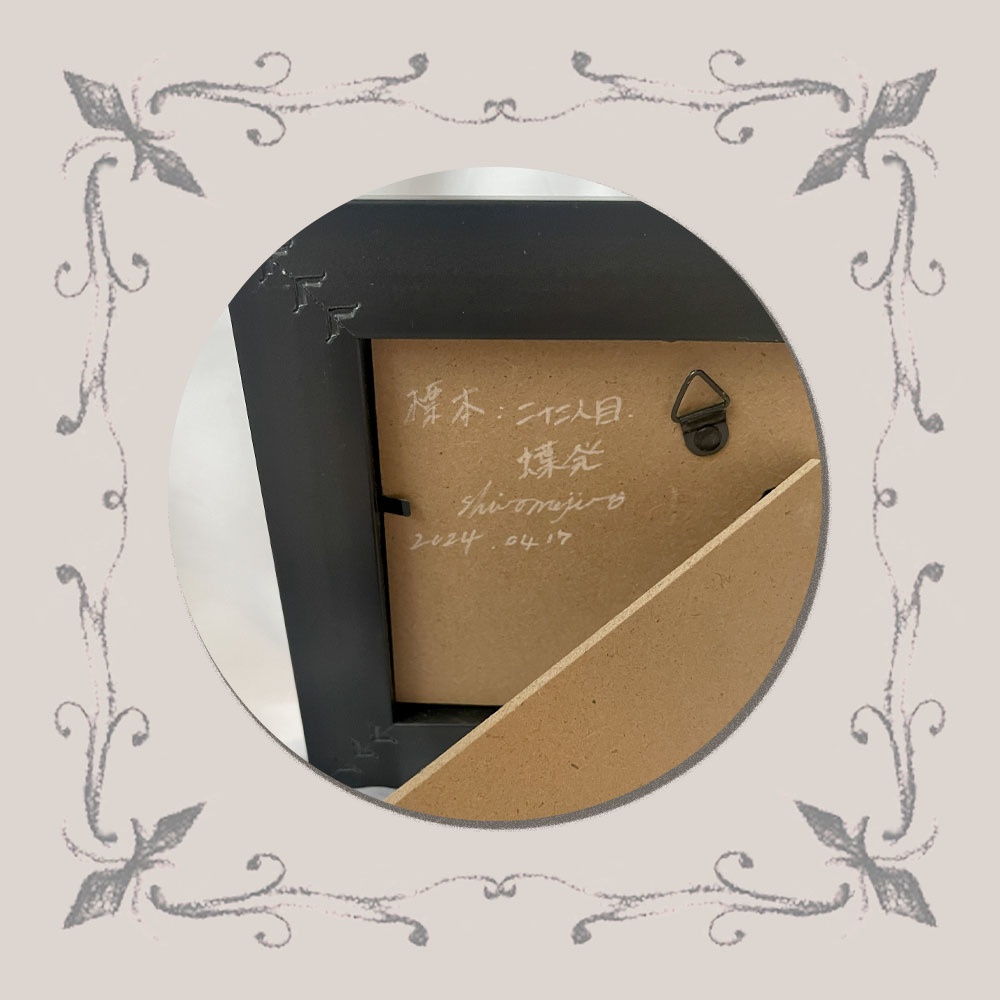 「標本:二十二人目、蝶発」原画