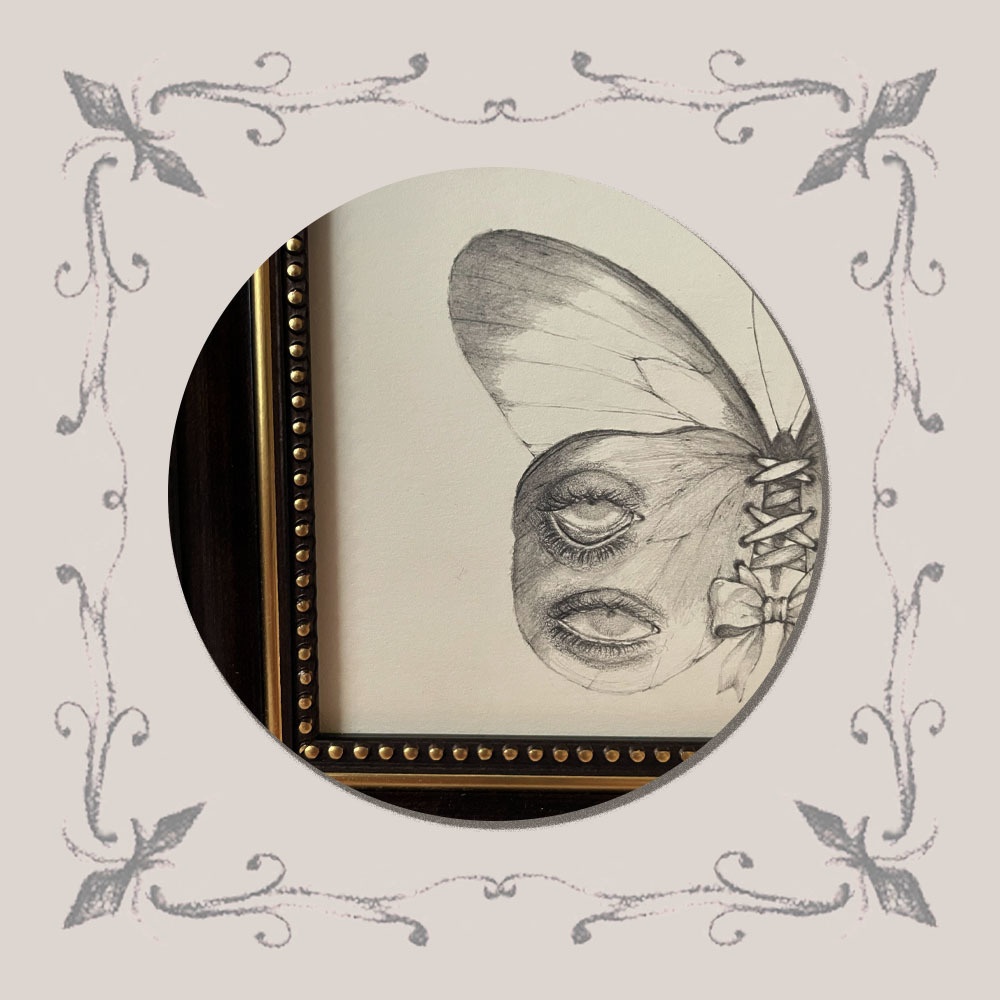 「標本:二十二人目、蝶発」原画