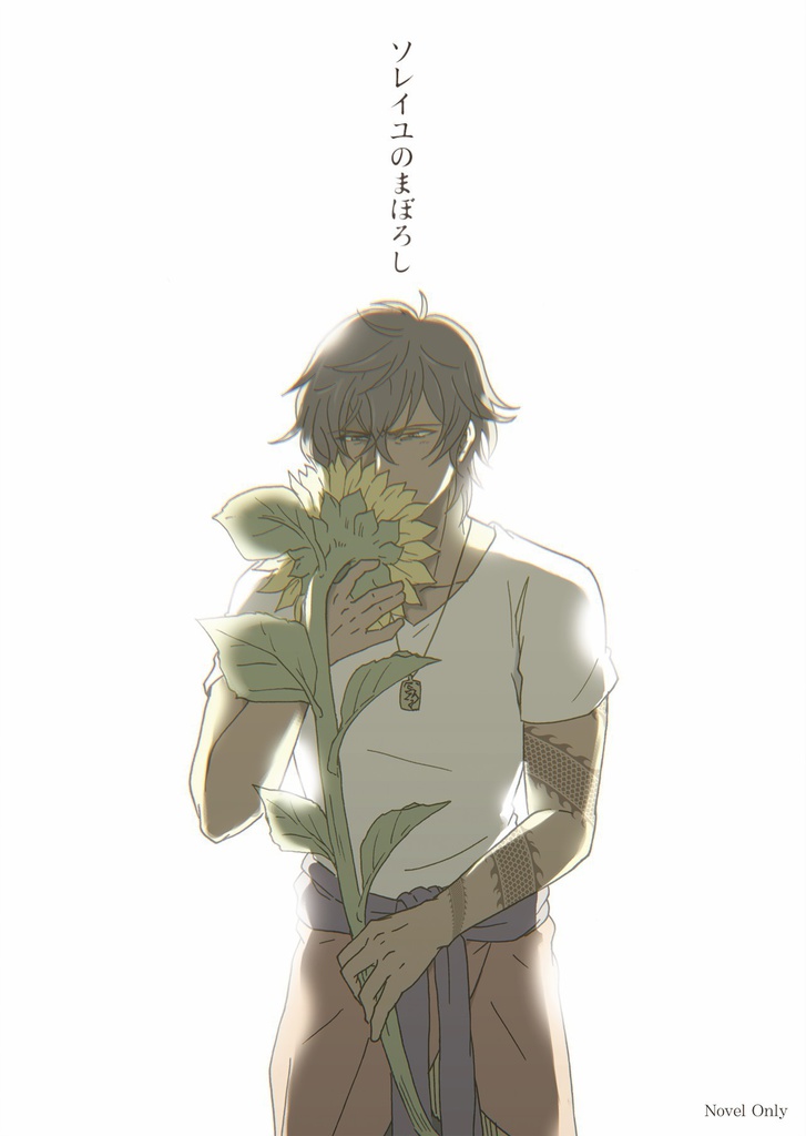 ソレイユのまぼろし