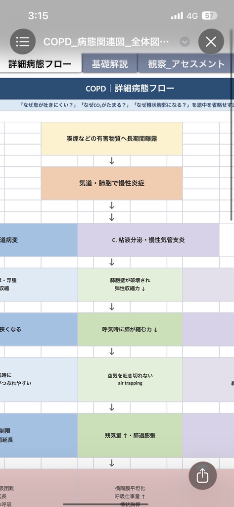 COPD 病態関連図|病態生理・症状・観察・看護がつながる基礎学習シート【Excel】