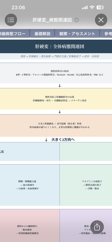 肝硬変 病態関連図|病態生理・症状・観察・看護がつながる基礎学習シート【Excel】