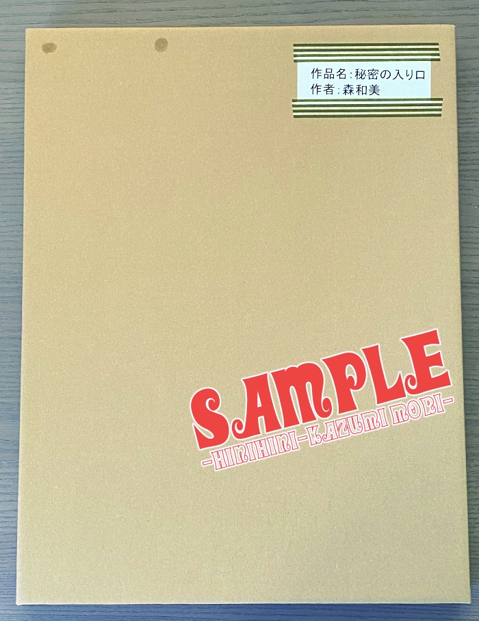 B4イラスト原画『秘密の入り口』