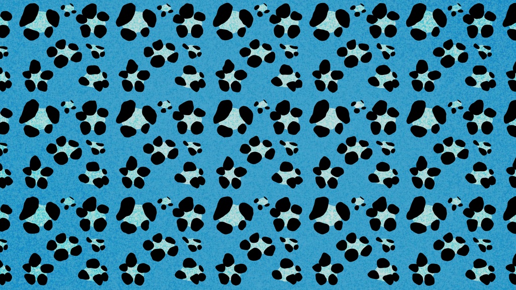 【Y2K✨ループ背景18種】平成ギャル風!カワイイ💖Y2Kアニメーション背景/10秒ループ・mp4