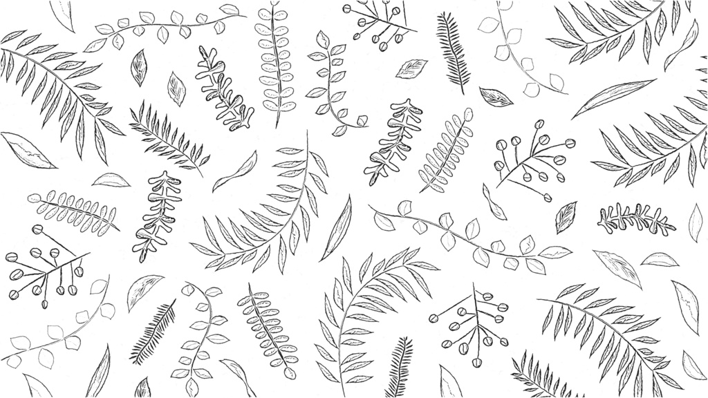 【OPタイトル&ループ背景|配信・動画】ボタニカルデザインの美しいアニメーション素材🌱全14種・10秒ループあり・mp4