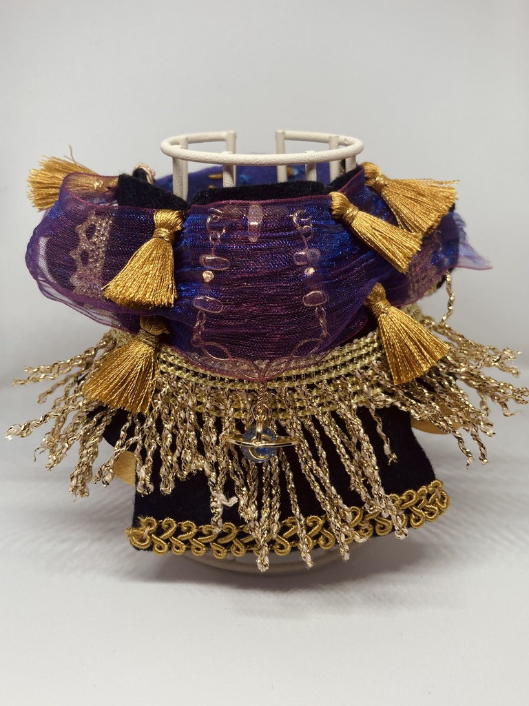 アルドルフィンの学士号(黒橡の色)