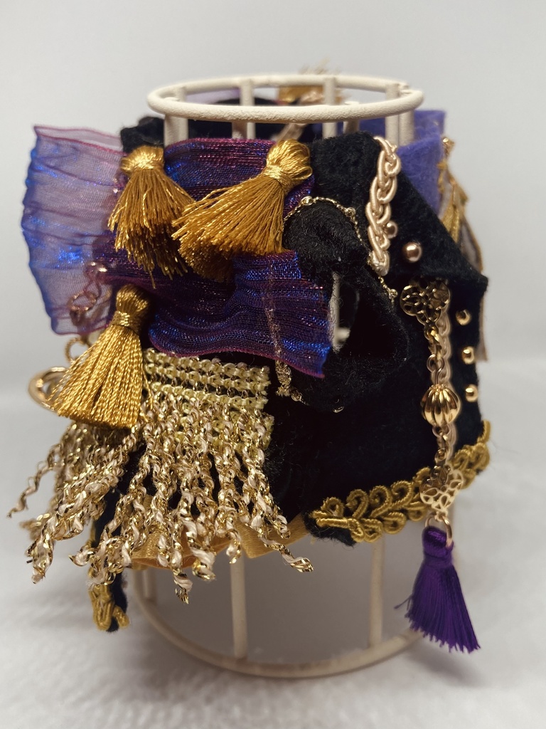 アルドルフィンの学士号(黒橡の色)