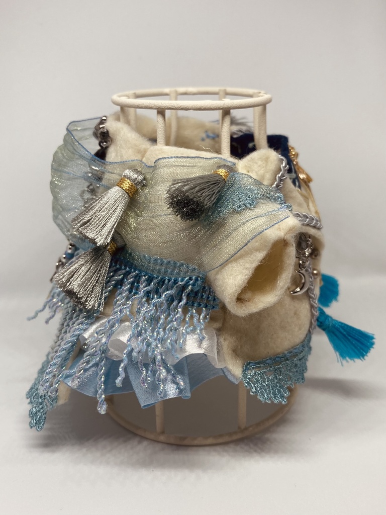 アルドルフィンの学士号(白瑩の色)