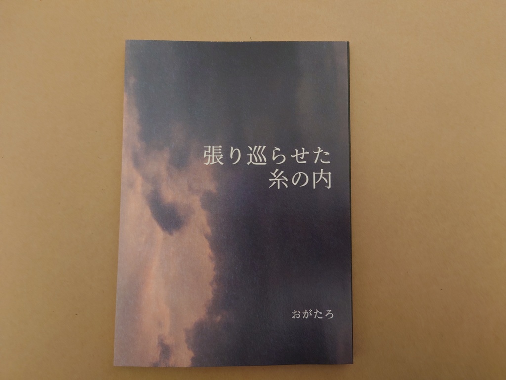 張り巡らせた糸の内