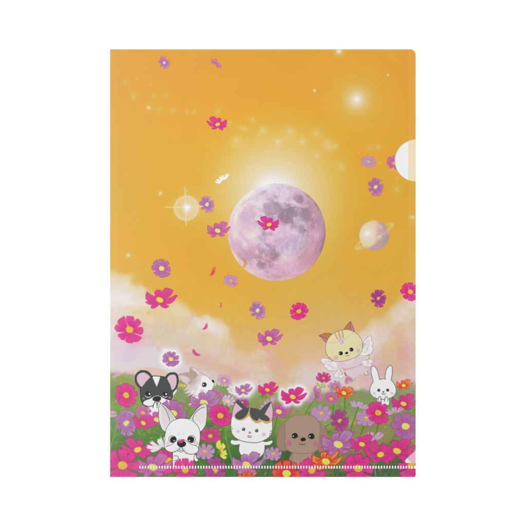 コスモス畑で遊ぶ猫さんたち 夕暮れ【みけみるさん】