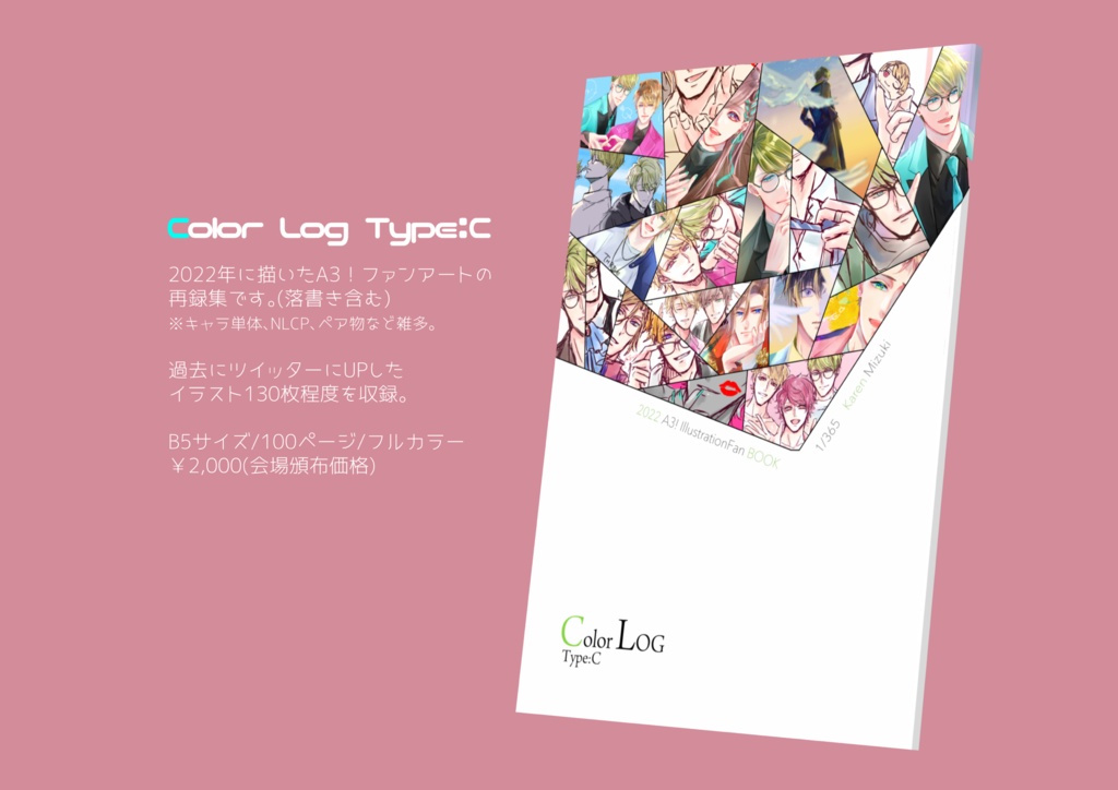 Color Log Type :C(イラストログ本)