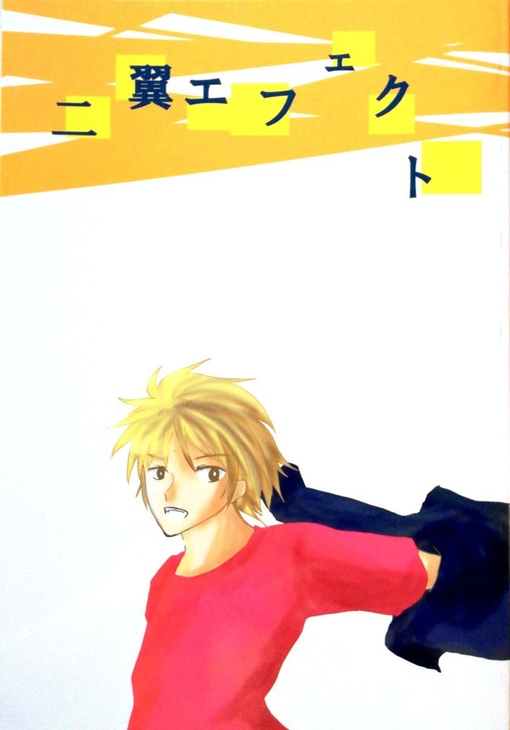 【同人誌】二翼エフェクト