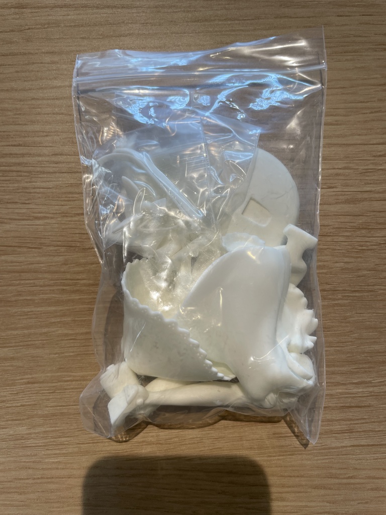 1/8 アンニカ 未塗装未組み立てガレージキット Garage kit "1/8 Annika" 箱なし&アイデカールなし