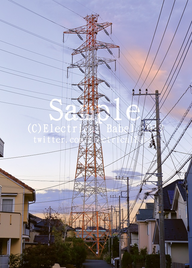 Electrical Babel Vol.11 -東京電力 柿生線-