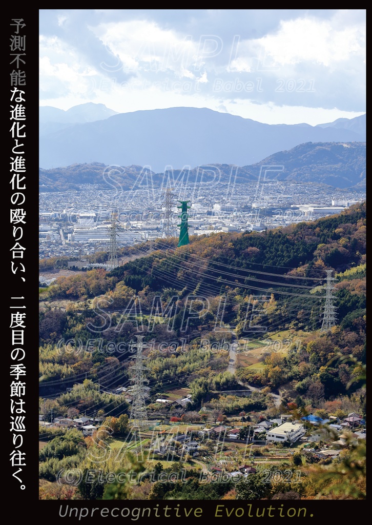 Electrical Babel Vol.13 -東京電力 秦浜線-