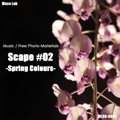 Scape #2 -Spring Colours-