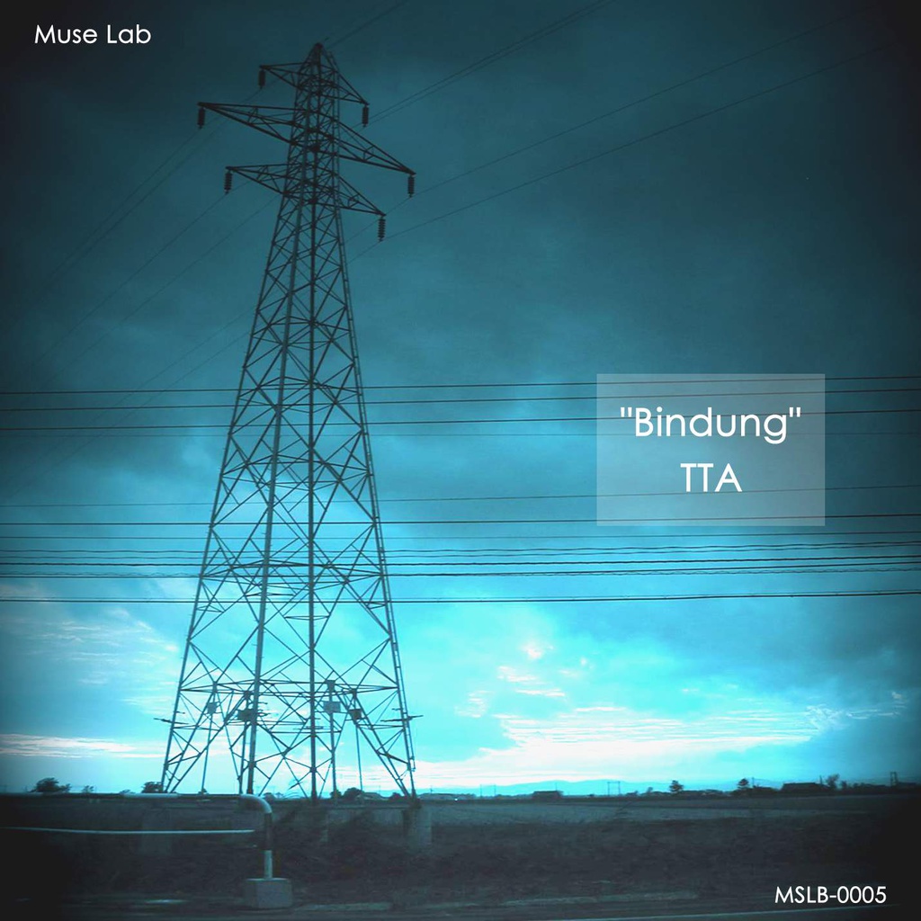 Bindung