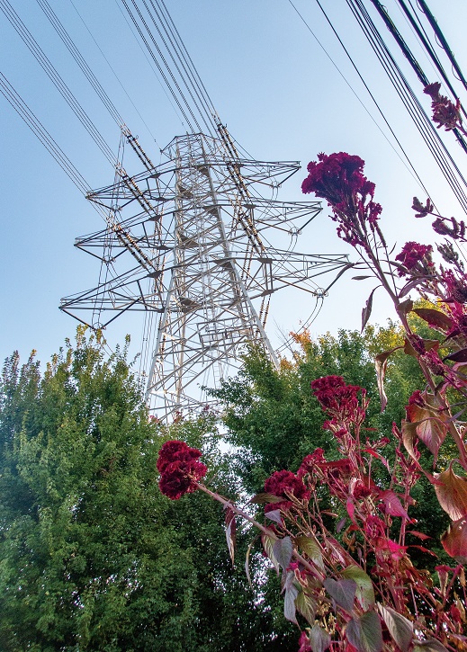 Electrical Babel Vol.15 -東京電力 西北線-