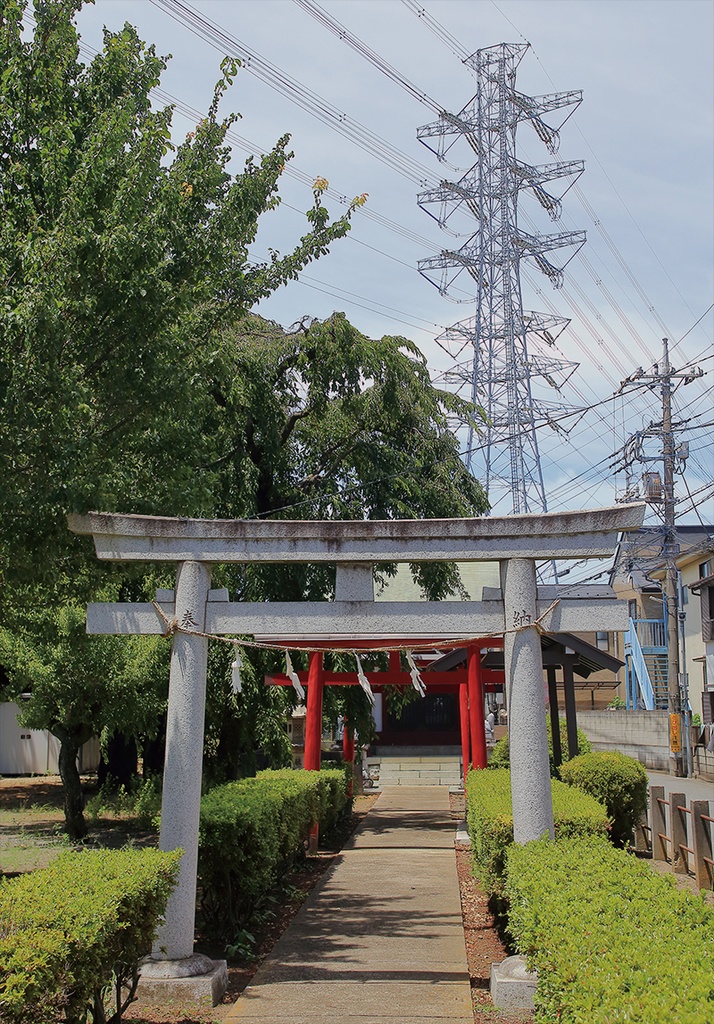 Electrical Babel Vol.19 -東京電力 新座線-