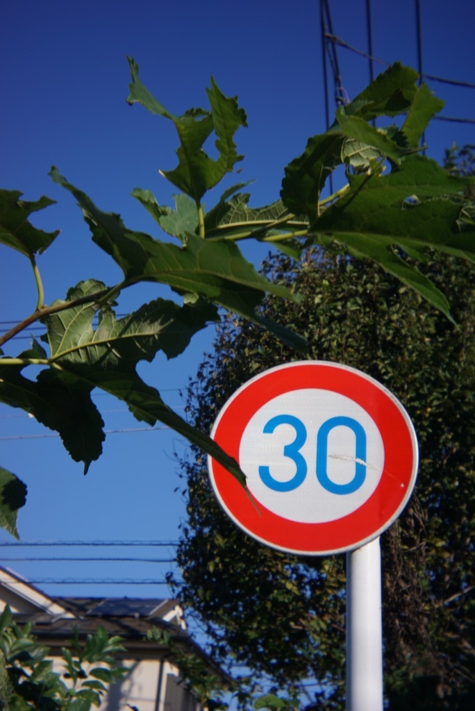 写ルンですレンズ SONY Eマウント用