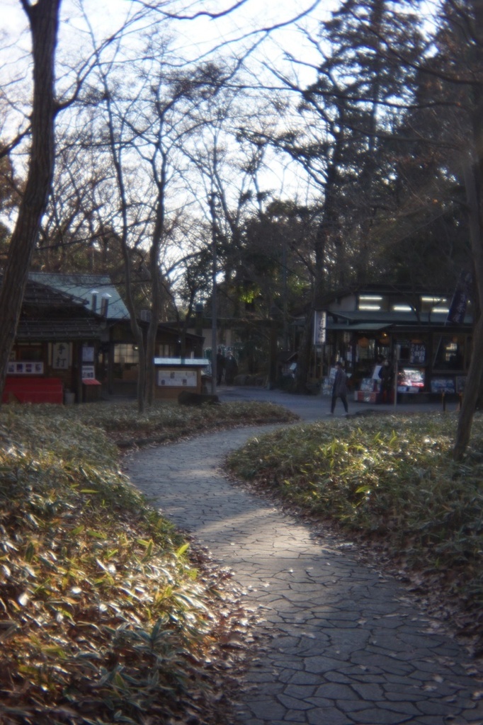 写ルンですレンズ SONY Eマウント用