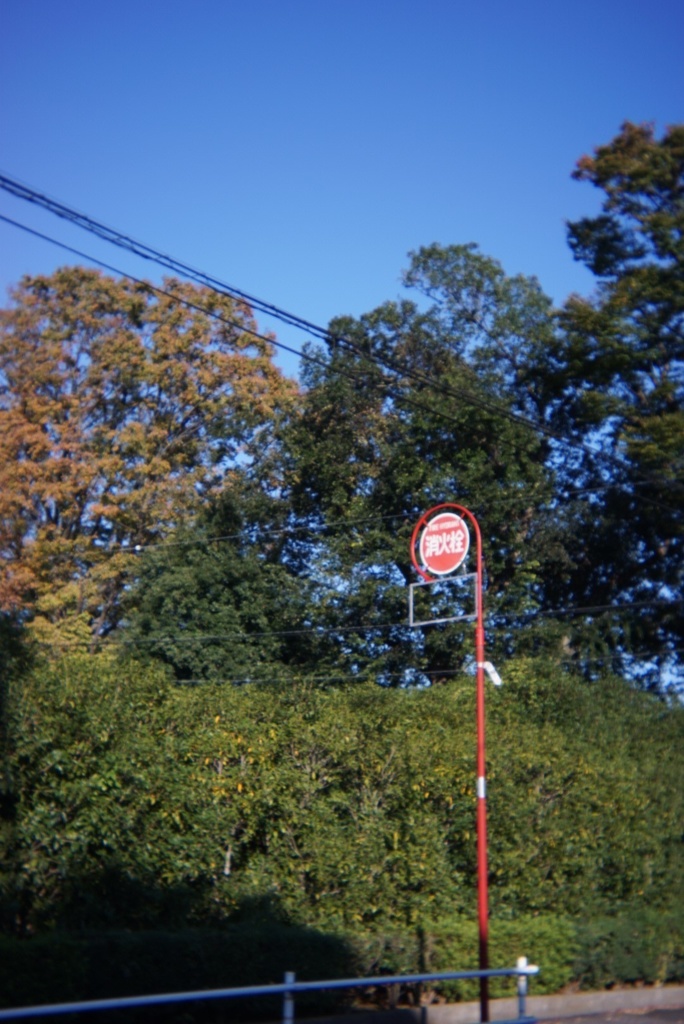 写ルンですレンズ SONY Eマウント用